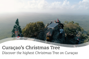Curaçao's Christmas Tree by Dynaf