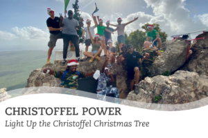 Light Up the Christoffel Christmas Tree